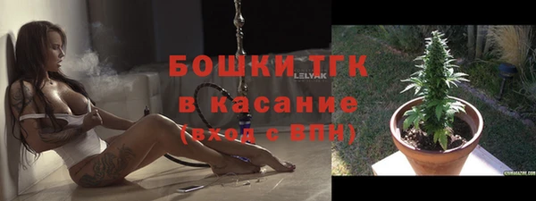 трава Аркадак