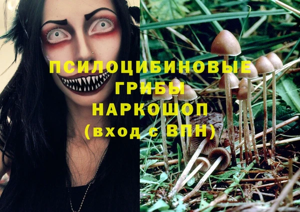 спайс Армянск
