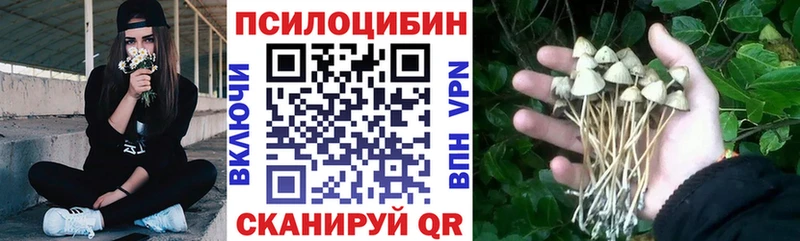 Псилоцибиновые грибы Cubensis купить Белорецк